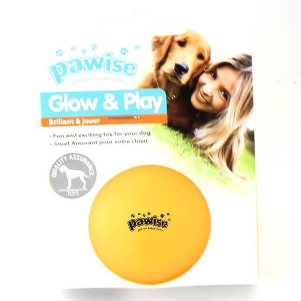 Brinquedo Bola Luminosa American Pet Brinquedo Bola Luminosa American Pet